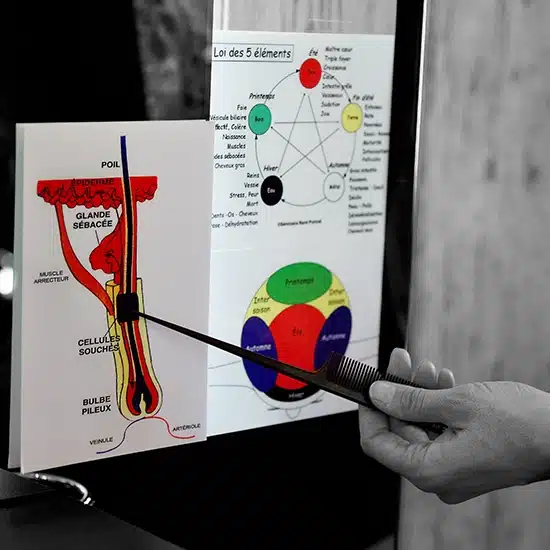 Médecine chinoise - Corinne Theler, coiffeuse énergétique en Valais, coupe énergétique à Chalais, soins capillaires naturels en Valais, décodage psychobiologique et coiffure, salon de coiffure naturel à Chalais, thérapie capillaire énergétique, coupe vibratoire selon Rémi Portrait, Coiffure holistique à Chalais, bien-être capillaire en Valais