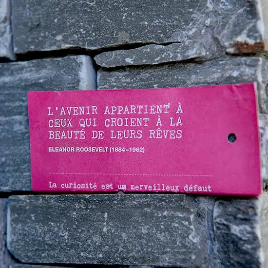 L'avenir appartient à ceux qui croient à la beauté de leurs rêves - Corinne Theler, coiffeuse énergétique en Valais, coupe énergétique à Chalais, soins capillaires naturels en Valais, décodage psychobiologique et coiffure, salon de coiffure naturel à Chalais, thérapie capillaire énergétique, coupe vibratoire selon Rémi Portrait, Coiffure holistique à Chalais, bien-être capillaire en Valais